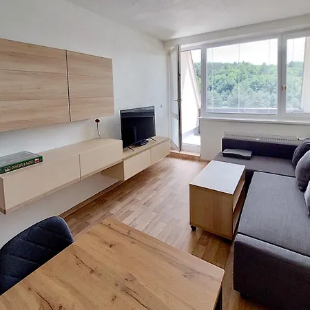 300 Lägenhet Všemina